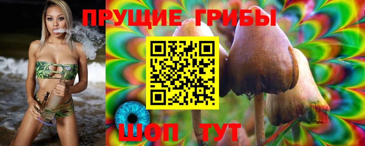 Галлюциногенные грибы Magic Shrooms Волжский