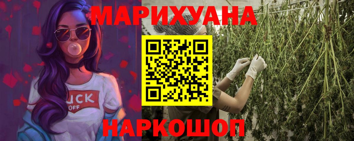 Каннабис OG Kush Волжский